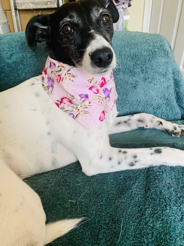 Flower Bandana